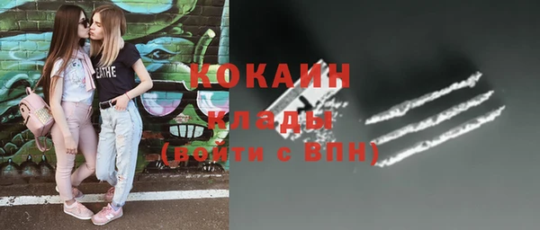 ECSTASY Алзамай