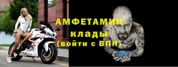 ECSTASY Алзамай