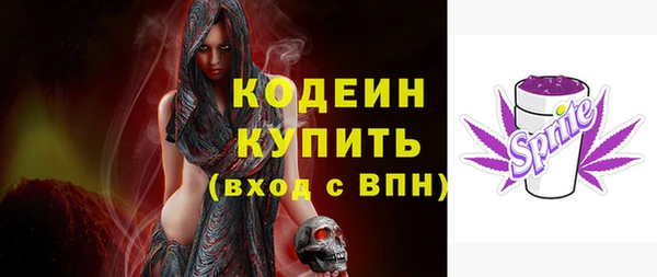 ECSTASY Алзамай