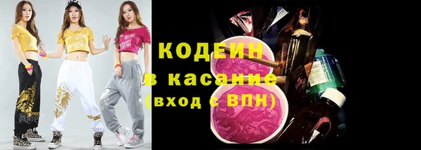 ECSTASY Алзамай