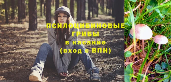 ECSTASY Алзамай