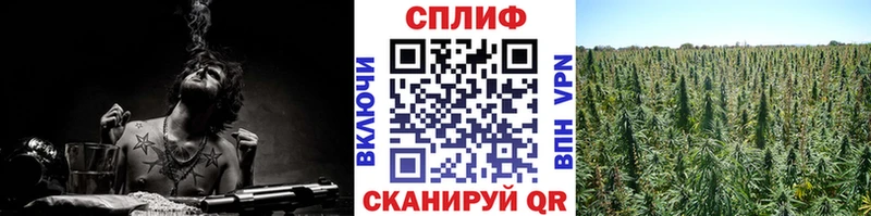 Бошки Шишки LSD WEED Закаменск